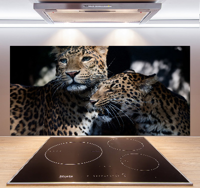 Glass splashback Two leopards