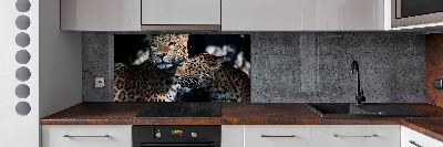 Glass splashback Two leopards