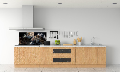 Glass splashback Two leopards