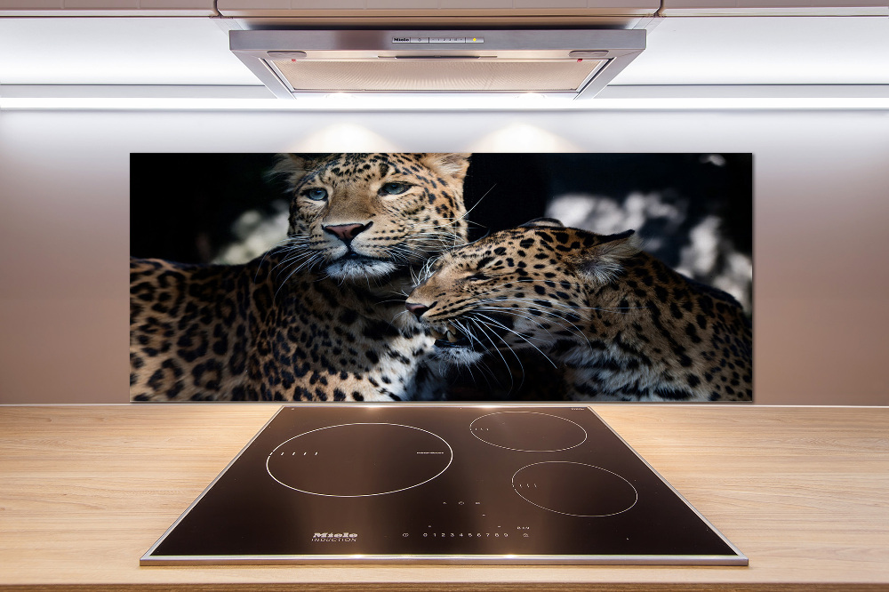 Glass splashback Two leopards