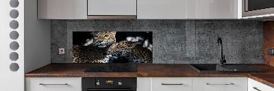 Glass splashback Two leopards