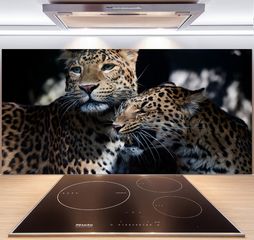 Glass splashback Two leopards