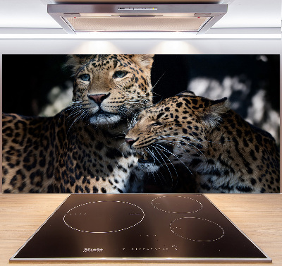 Glass splashback Two leopards