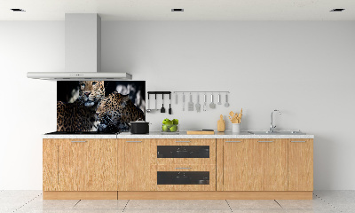 Glass splashback Two leopards