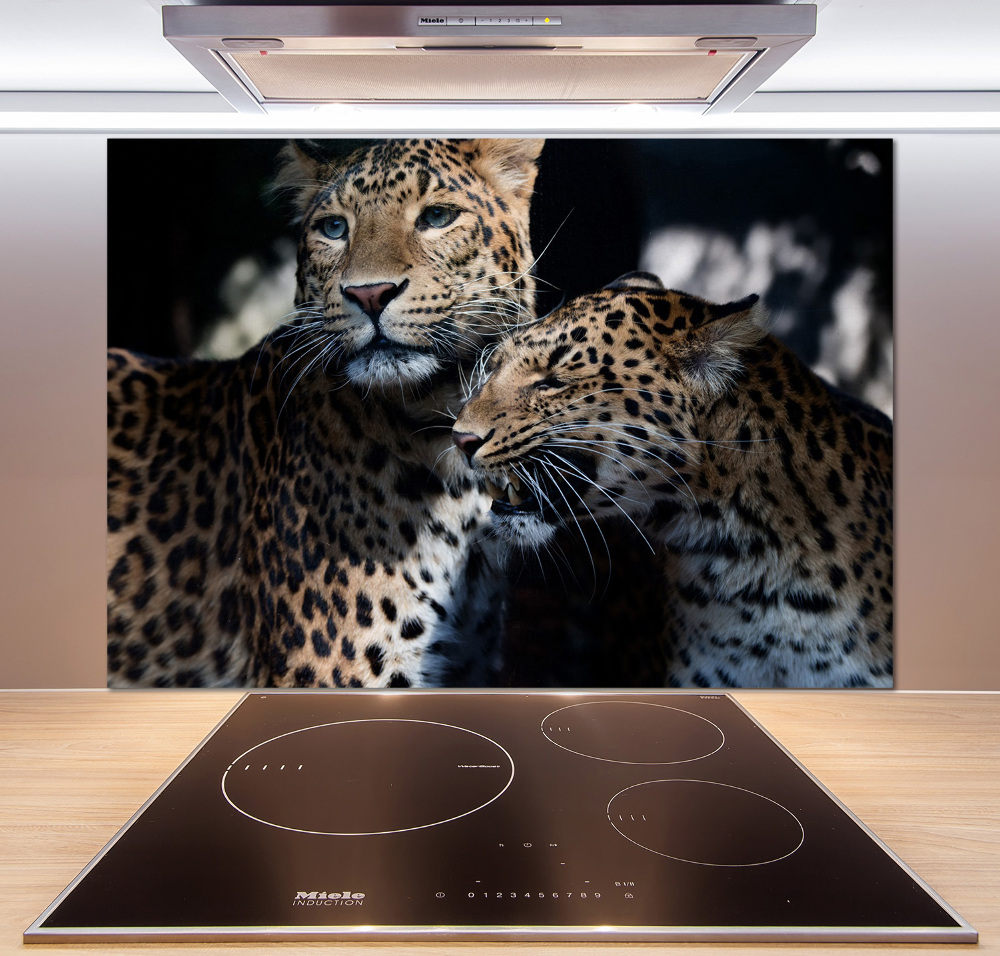 Glass splashback Two leopards