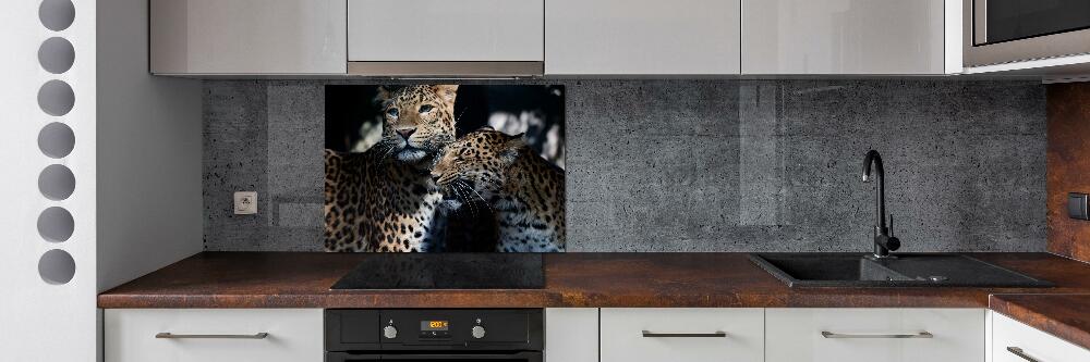 Glass splashback Two leopards