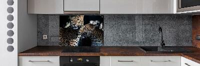 Glass splashback Two leopards