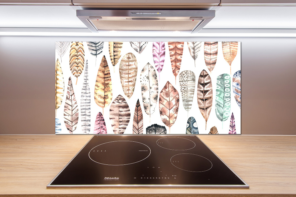 Cooker splashback Colorful feathers