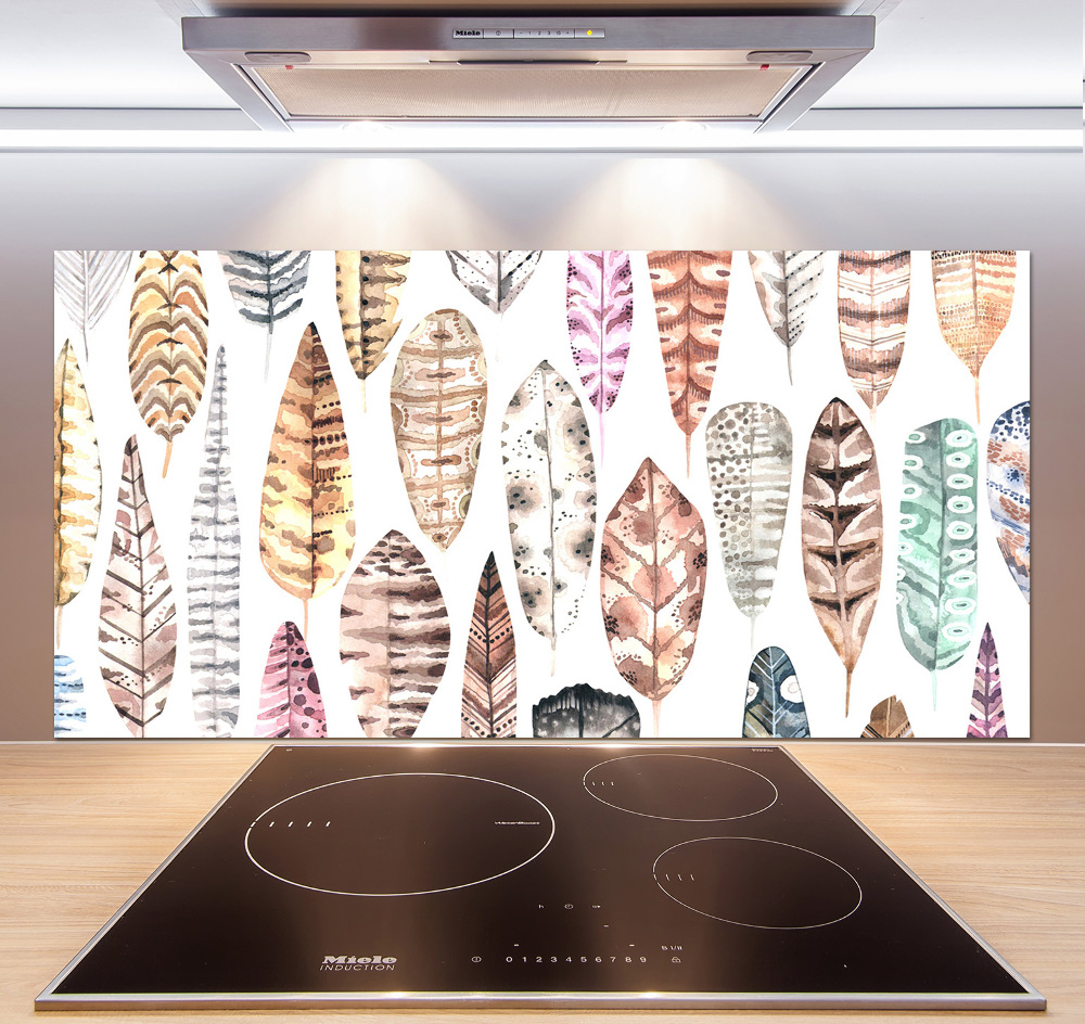 Cooker splashback Colorful feathers