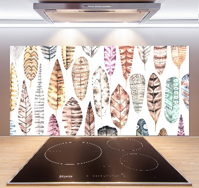 Cooker splashback Colorful feathers