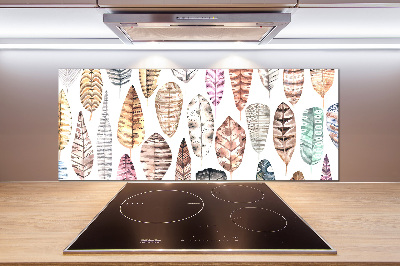 Cooker splashback Colorful feathers