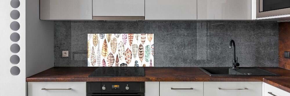 Cooker splashback Colorful feathers