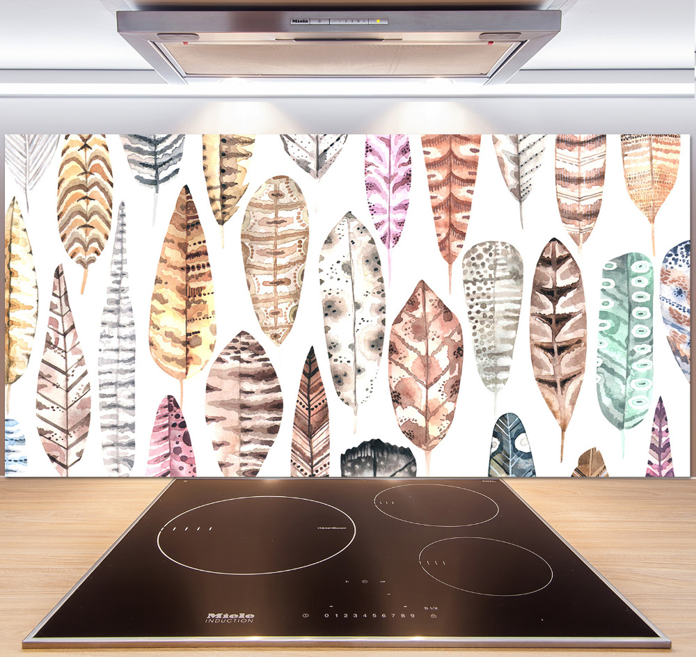 Cooker splashback Colorful feathers