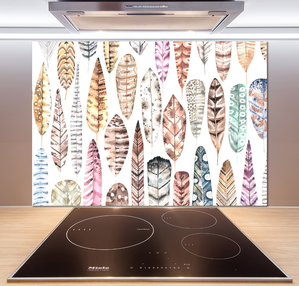 Cooker splashback Colorful feathers