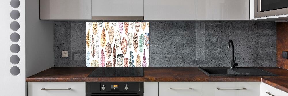 Cooker splashback Colorful feathers