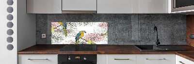 Glass splashback Parrots and flowers