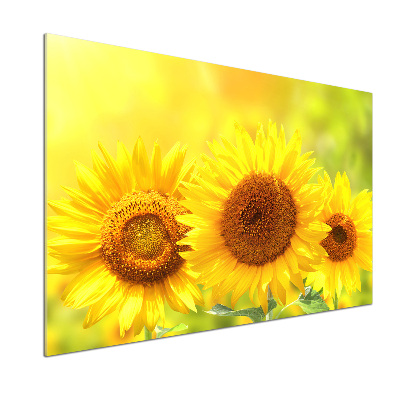 Kitchen wall panels Sunflowers