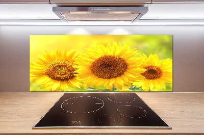 Kitchen wall panels Sunflowers