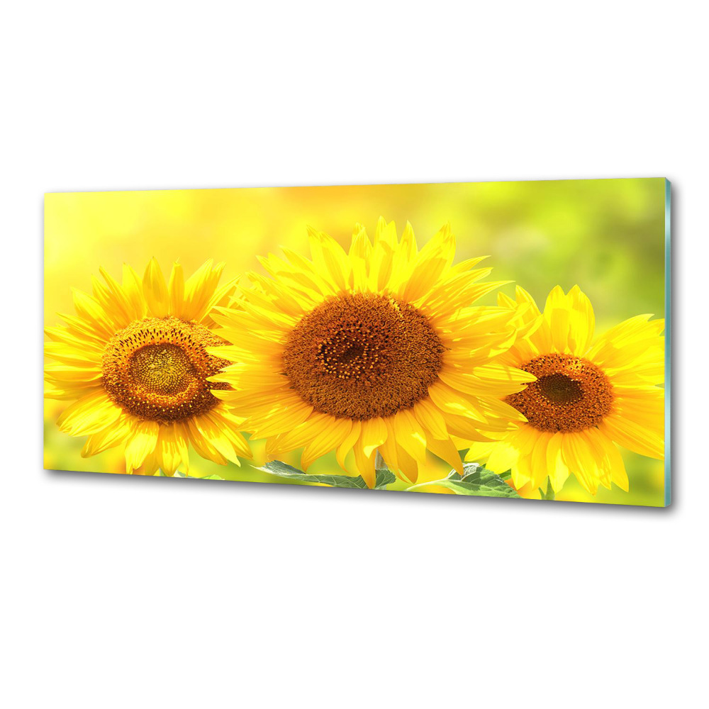 Kitchen wall panels Sunflowers