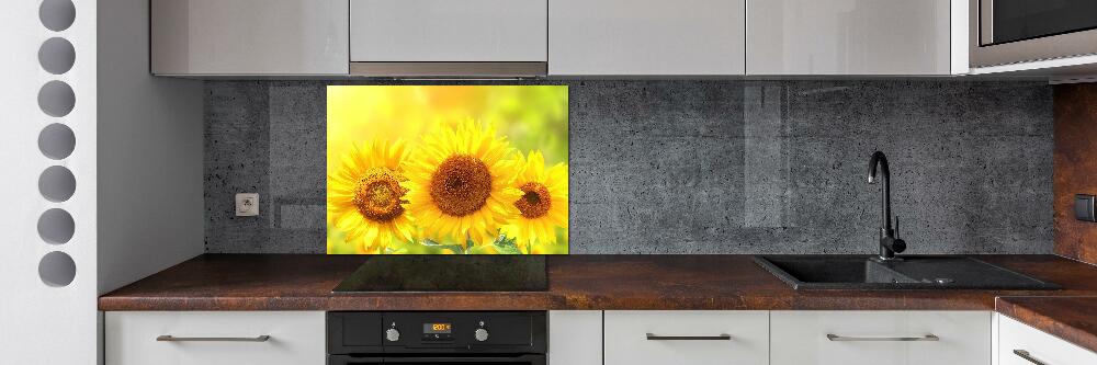 Kitchen wall panels Sunflowers