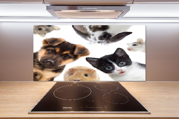 Cooker splashback Pets