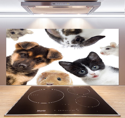 Cooker splashback Pets