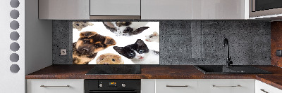 Cooker splashback Pets