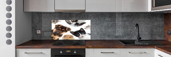 Cooker splashback Pets