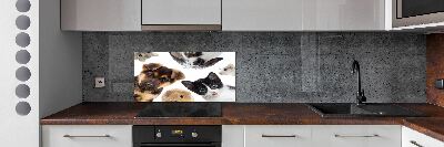 Cooker splashback Pets