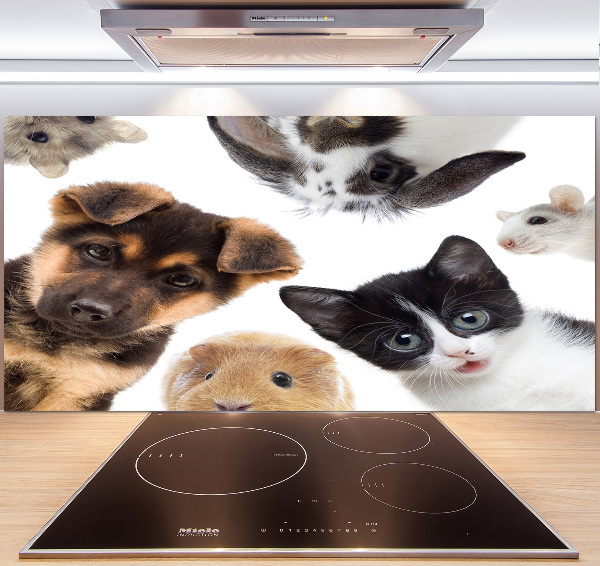 Cooker splashback Pets