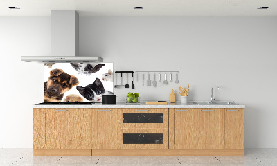 Cooker splashback Pets