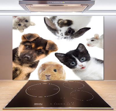 Cooker splashback Pets