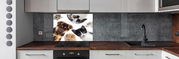 Cooker splashback Pets