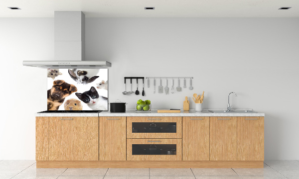 Cooker splashback Pets