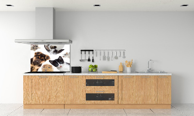 Cooker splashback Pets