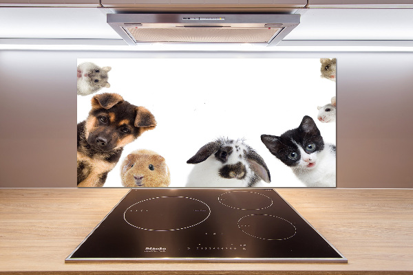 Cooker splashback Pets