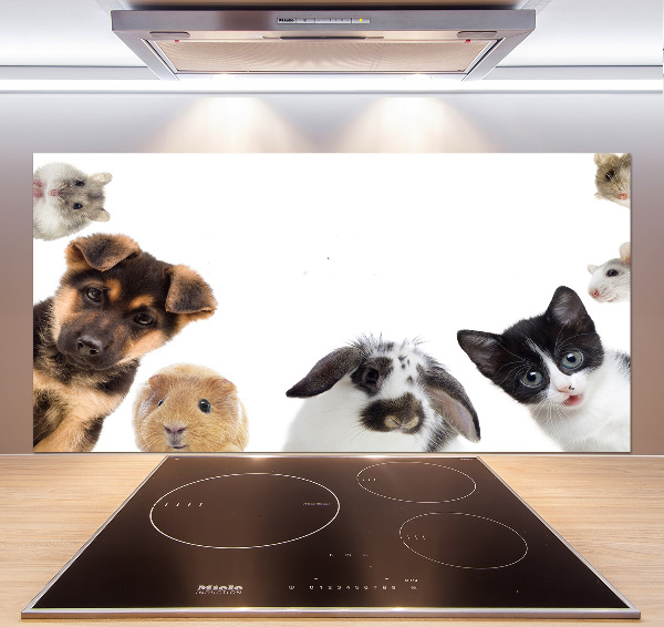 Cooker splashback Pets