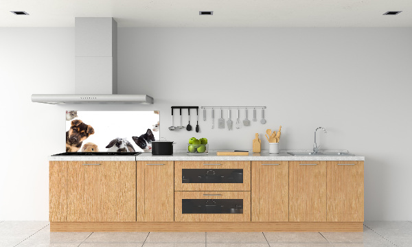 Cooker splashback Pets