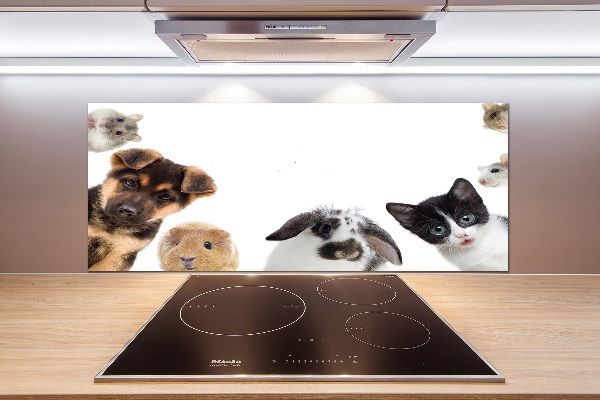 Cooker splashback Pets