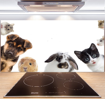 Cooker splashback Pets