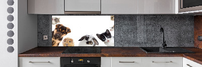 Cooker splashback Pets