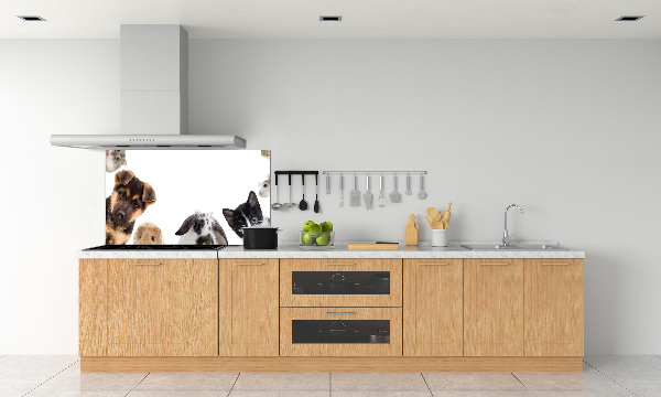 Cooker splashback Pets