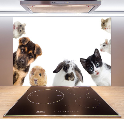 Cooker splashback Pets