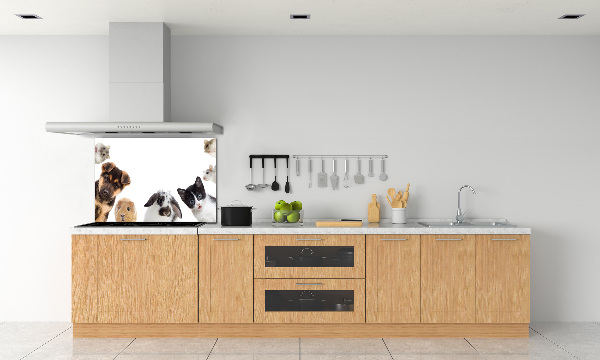 Cooker splashback Pets