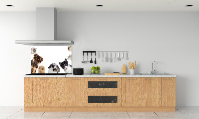 Cooker splashback Pets