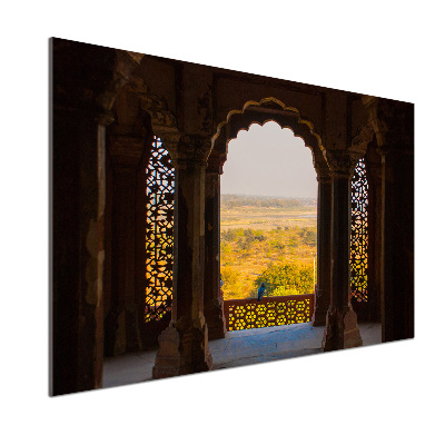 Cooker splashback Fort AGRA India