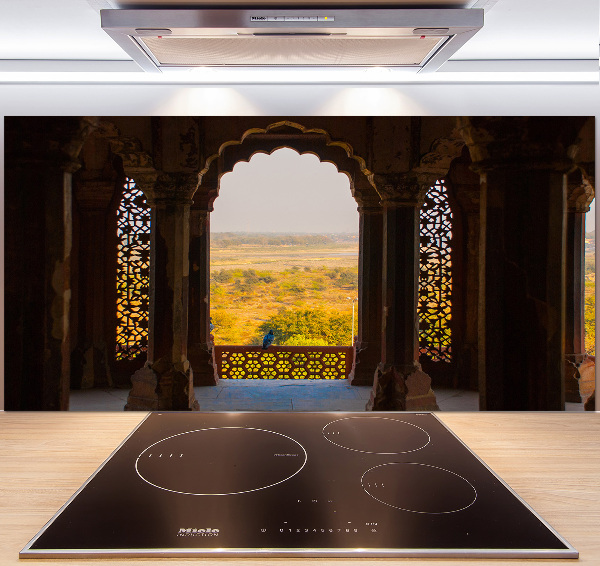 Cooker splashback Fort AGRA India