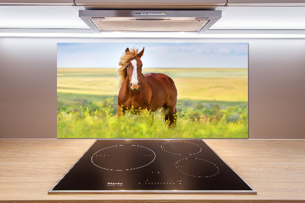 Cooker splashback Brown horse