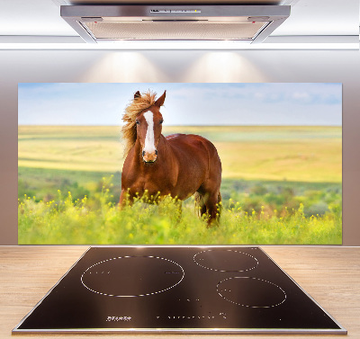 Cooker splashback Brown horse