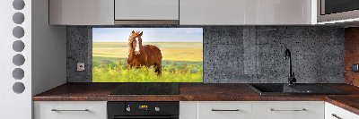 Cooker splashback Brown horse